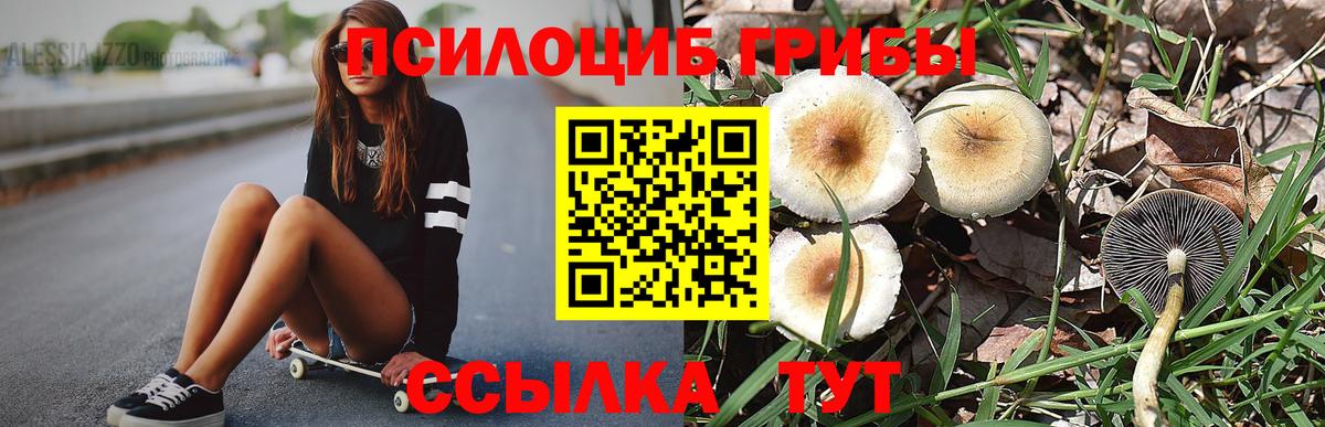 Псилоцибиновые грибы GOLDEN TEACHER Янаул